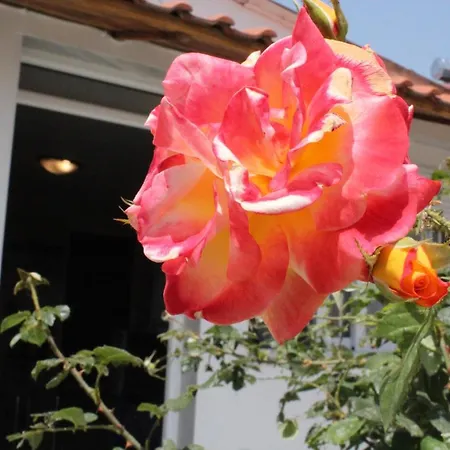 Casa vacanze Holiday Kavala