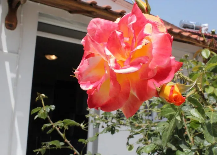 Ferienhaus Holiday Kavala